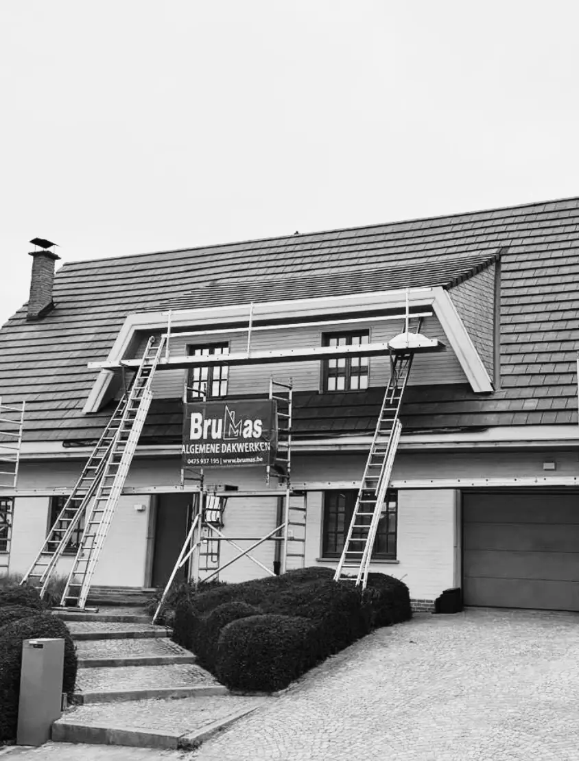 Brumas – Algemene Dakwerken