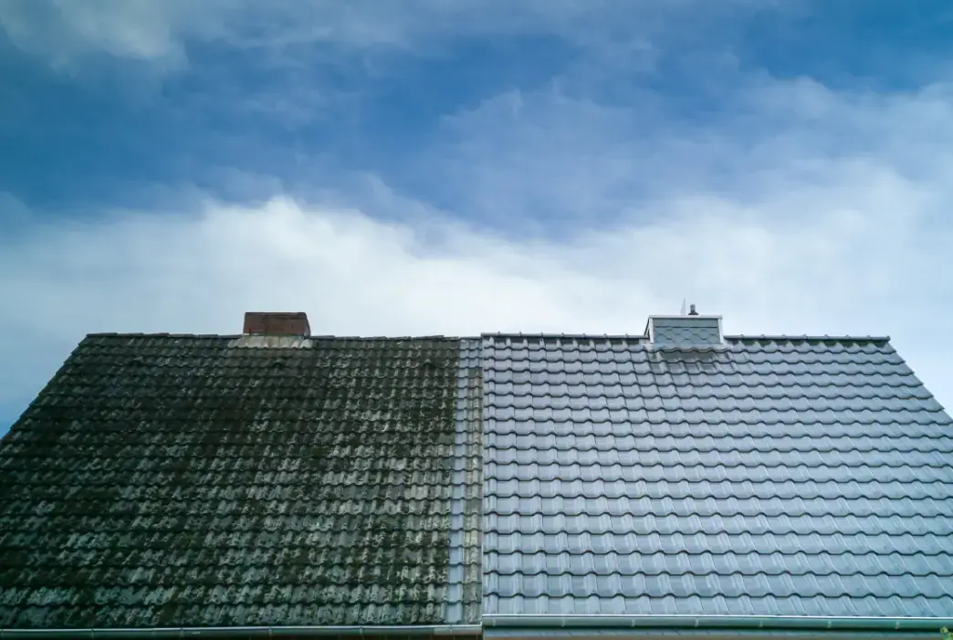 Waarom je dak reinigen?